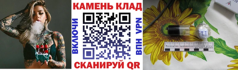 МЕФ Шатура