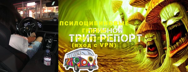 мет Касимов