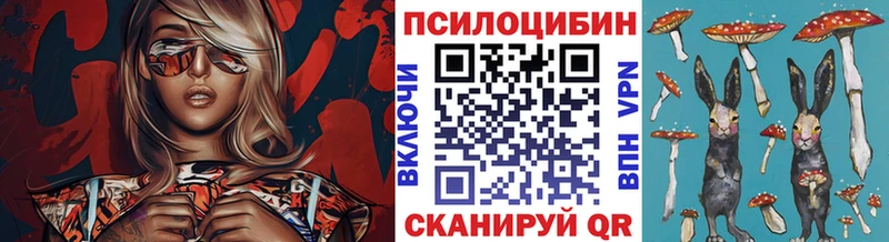 Купить  Шатура  Галлюциногенные грибы MAGIC MUSHROOMS 